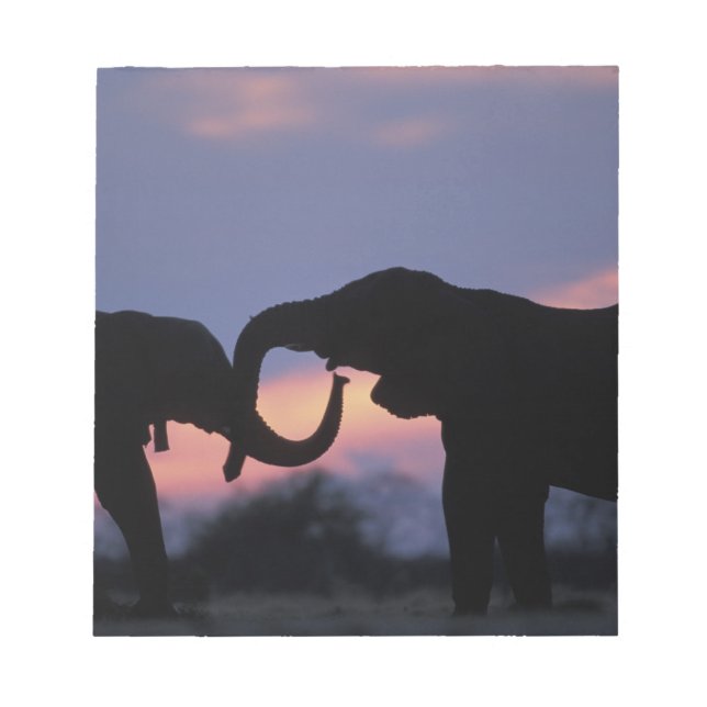 Bloco De Notas Botswana, Parque Nacional Chobe, Elefantes (Frente)