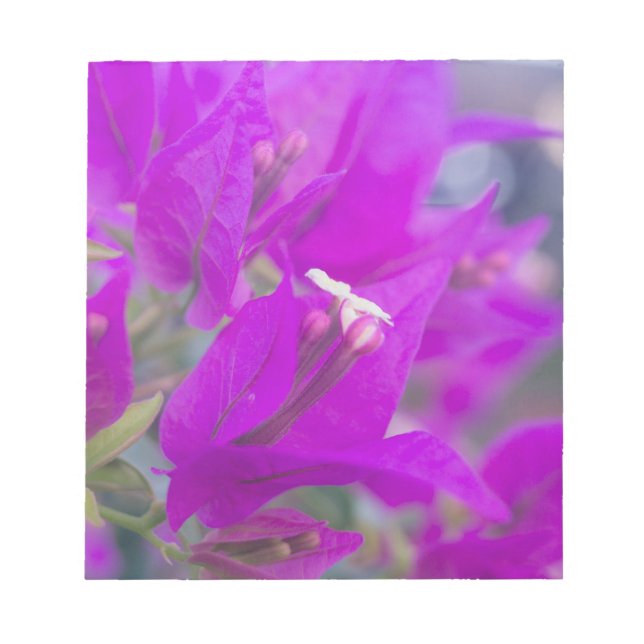 Bloco De Notas Bougainvillea Púrpura (Frente)