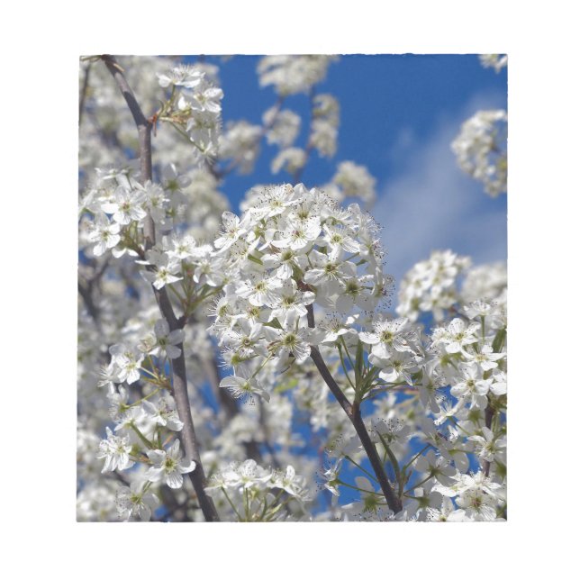 Bloco De Notas Bradford Pear Blooms (Frente)