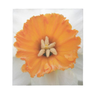 Bloco de notas branco Daffodil