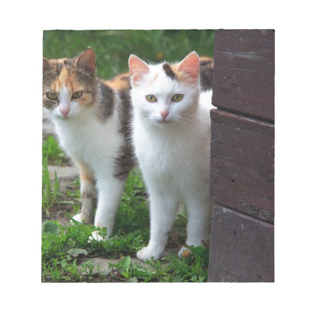 Bloco De Notas Brincadeira (Frente)