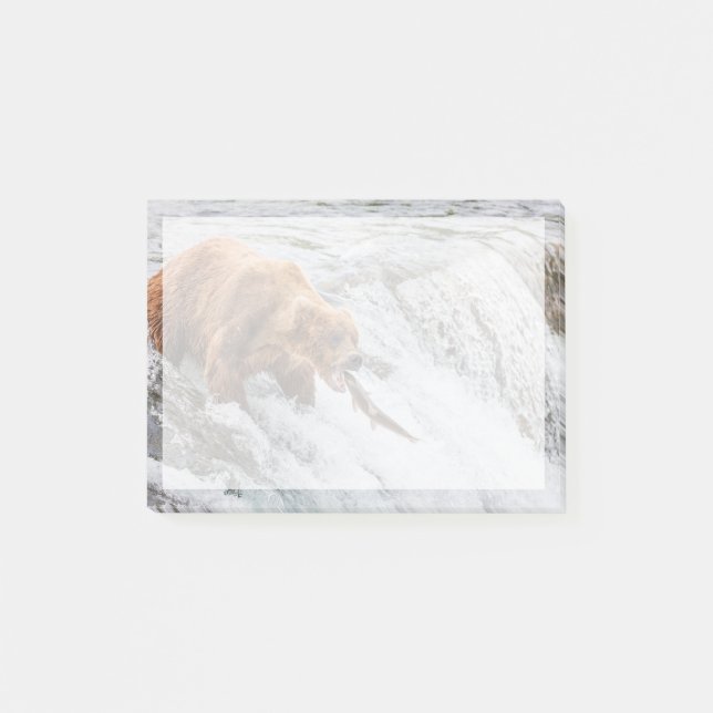 Bloco De Notas Brown Bear Catches Red Salmon (Frente)