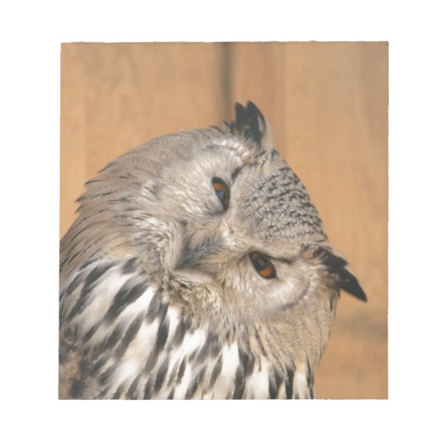 Bloco De Notas Bubo bubo sibiricus (Frente)