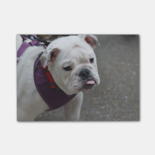Bloco De Notas Buldogue adorável