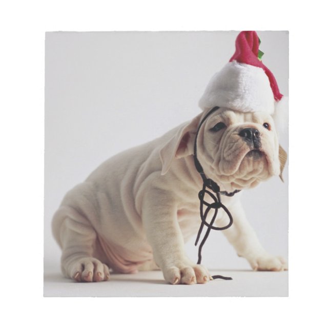 Bloco De Notas Buldogue Cachorro Vestindo Papai Noel (Frente)