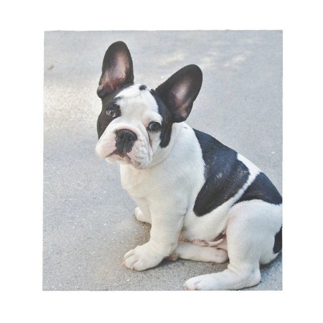 Bloco De Notas buldogue francês sentado (Frente)