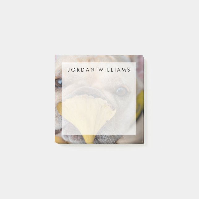 Bloco De Notas Bulldog Francês Adorável (Frente)