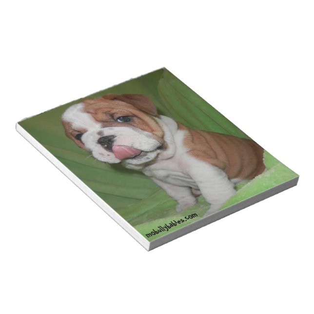 Bloco De Notas Bulldog Notepad Bully Love (Inclinado)