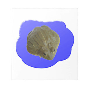 Bloco De Notas Bullfrod no Pond Notepad