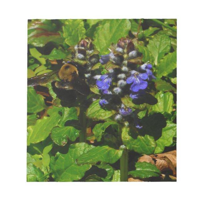 Bloco De Notas Bumble e Bumble Bee (Frente)