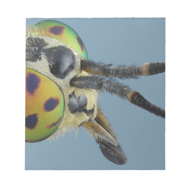 Bloco De Notas Cabeça de veado (Frente)