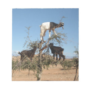 Bloco De Notas Cabras engraçadas em uma árvore