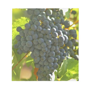 Bloco De Notas cacho de uva Cabernet Sauvignon no Chateau