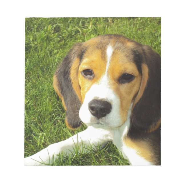 Bloco De Notas Cachorro Beagle Animais de Estimação Paz Amor (Frente)
