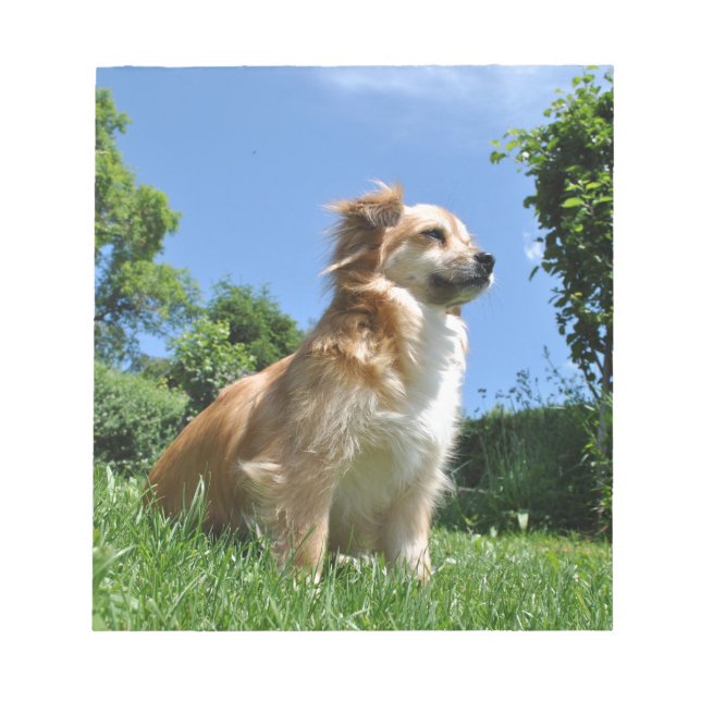 Bloco De Notas Cachorro bonito na grama (Frente)