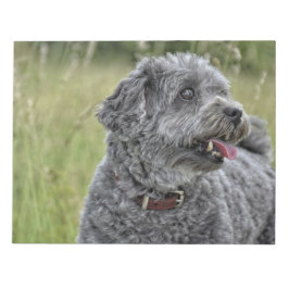 Bloco De Notas Cachorro Cortado Terrier