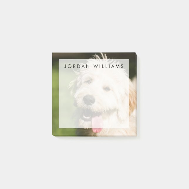 Bloco De Notas Cachorro de Dourado (Frente)