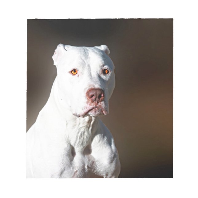 Bloco De Notas Cachorro de Emergência Pitbull-Americano Branco (Frente)