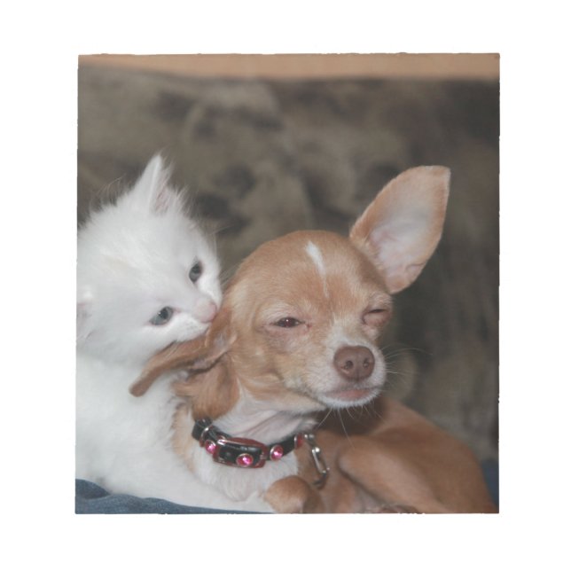 Bloco De Notas Cachorro Gato A Lamber (Frente)
