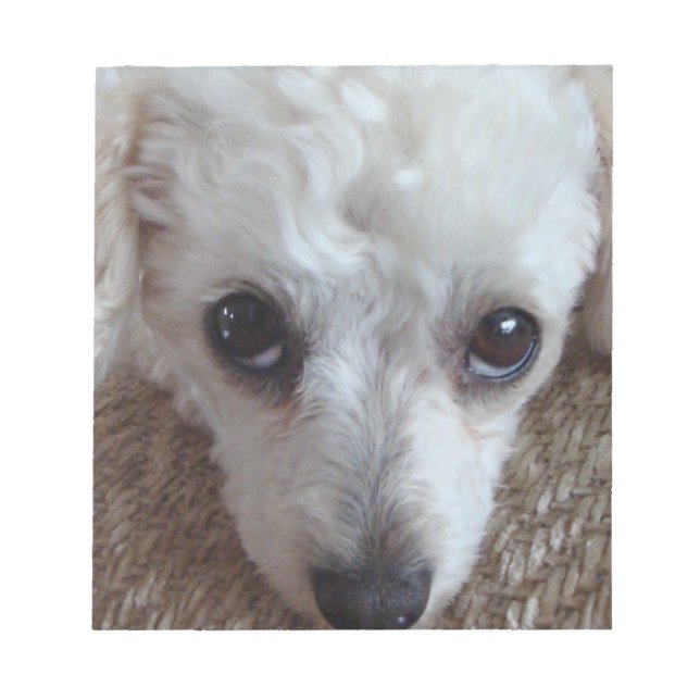 Bloco De Notas Cachorro Poodle Pequeno Xícara Branco (Frente)