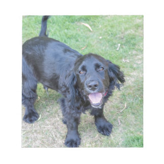 Bloco De Notas Cachorro Preto