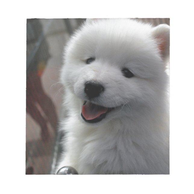 Bloco De Notas Cachorro Samoed (Frente)