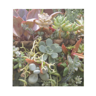 Bloco De Notas Cactos multicolorido