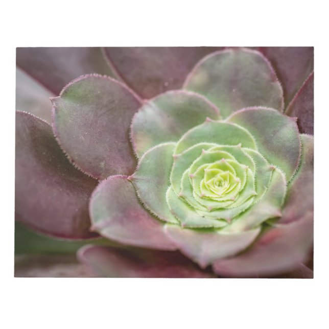 Bloco De Notas Cactus Impressão | Flor De Cactus No Deserto (Frente)