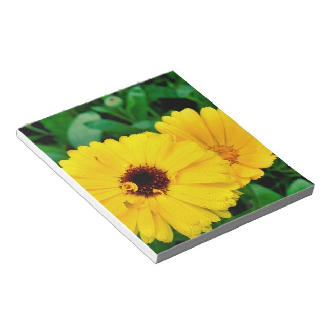 Bloco De Notas Calendula Officinalis (Inclinado)
