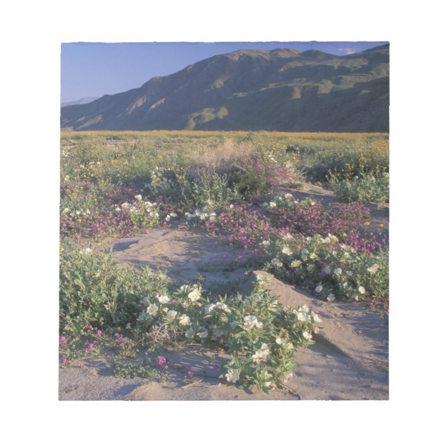 Bloco De Notas Califórnia, Anza-Borrego Desert SP, Areia (Frente)