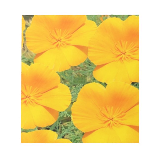 Bloco De Notas California Ouro Poppy (Frente)