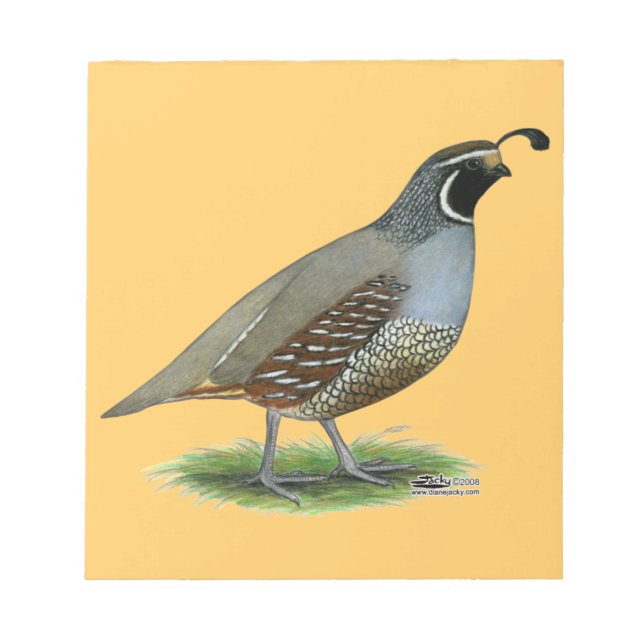 Bloco De Notas California Valley Quail (Frente)