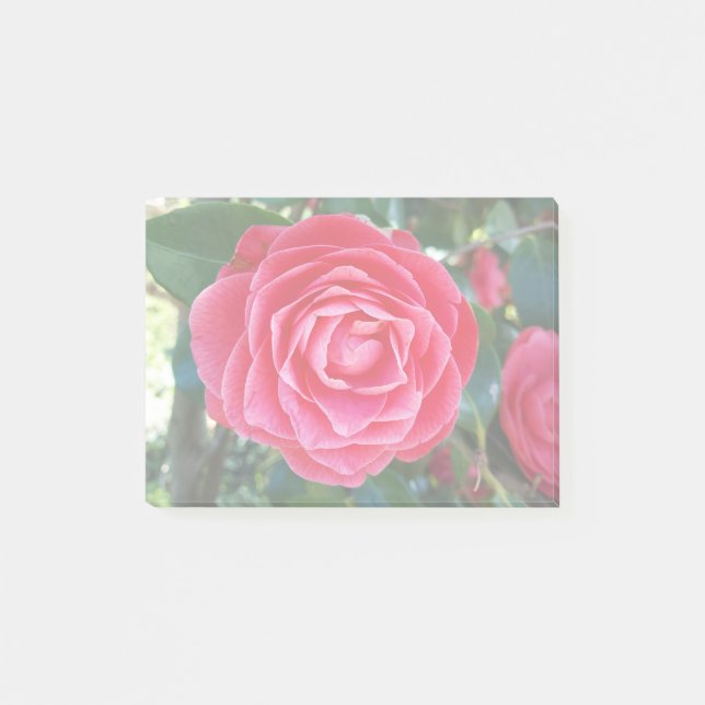 Bloco De Notas Camelia Notes (Frente)