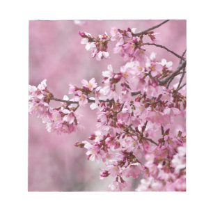Bloco De Notas Camélias Sakura Camadas Rosa Pastel
