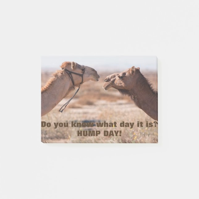 Bloco De Notas Camelos Hump Day (Frente)