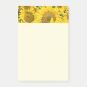Bloco De Notas Campo Amarelo de Girassóis Fotografia