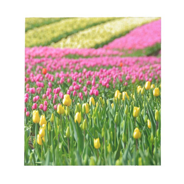 Bloco De Notas Campos de Cores (Frente)