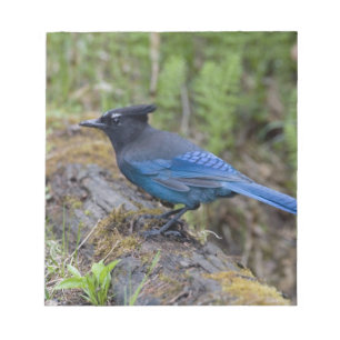 Bloco De Notas Canadá: Colúmbia Britânica, Yoho NP, charneca-azul
