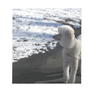 Bloco De Notas Caniche branca pela neve