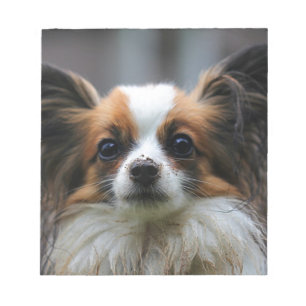 Bloco De Notas Cão bonito do papillon