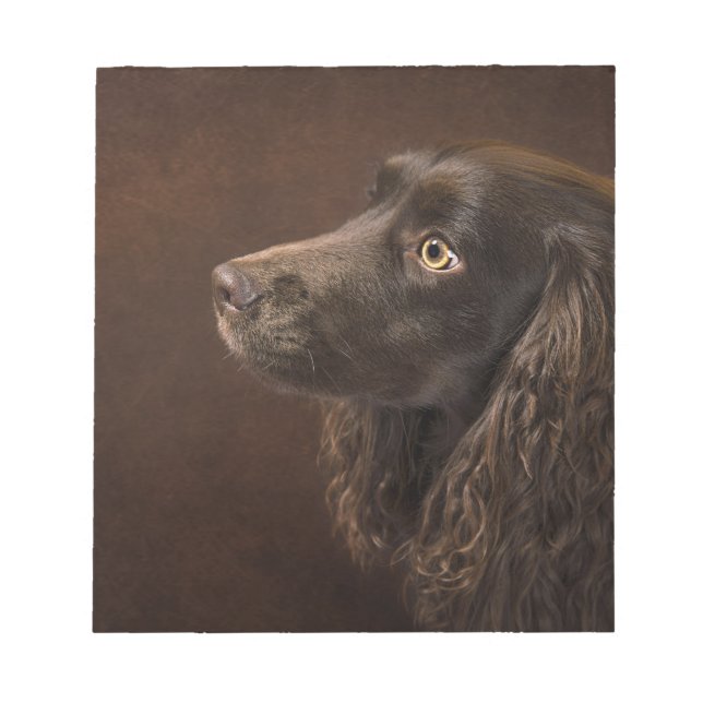 Bloco De Notas Cão De Cabelo Castanho (Frente)