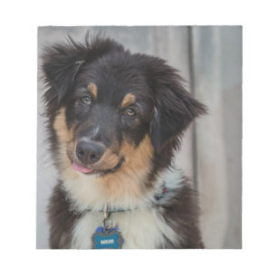 Bloco De Notas Cão de pastor australiano