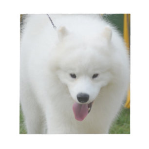 Bloco De Notas Cão Eskimo americano adorável