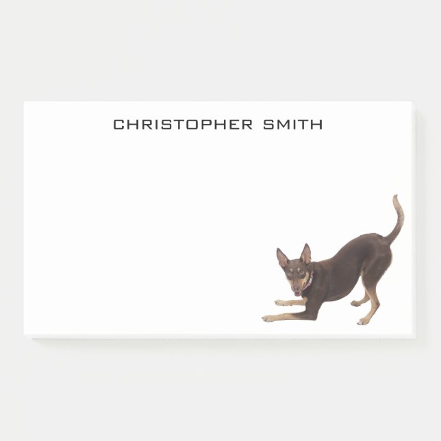 Bloco De Notas Cão Kelpie Australiano (Frente)