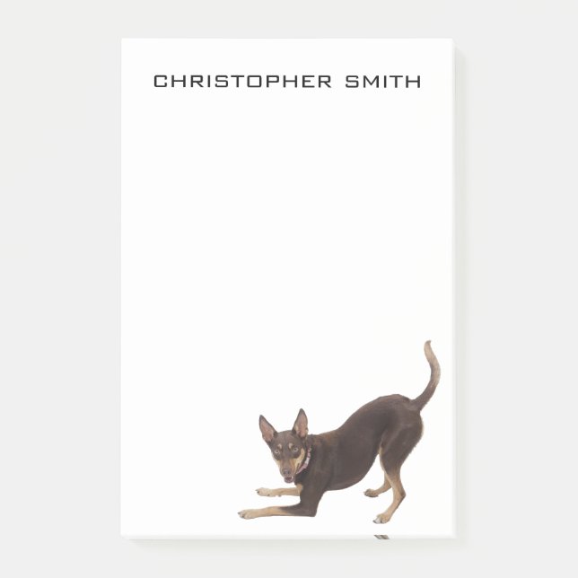 Bloco De Notas Cão Kelpie Australiano (Frente)