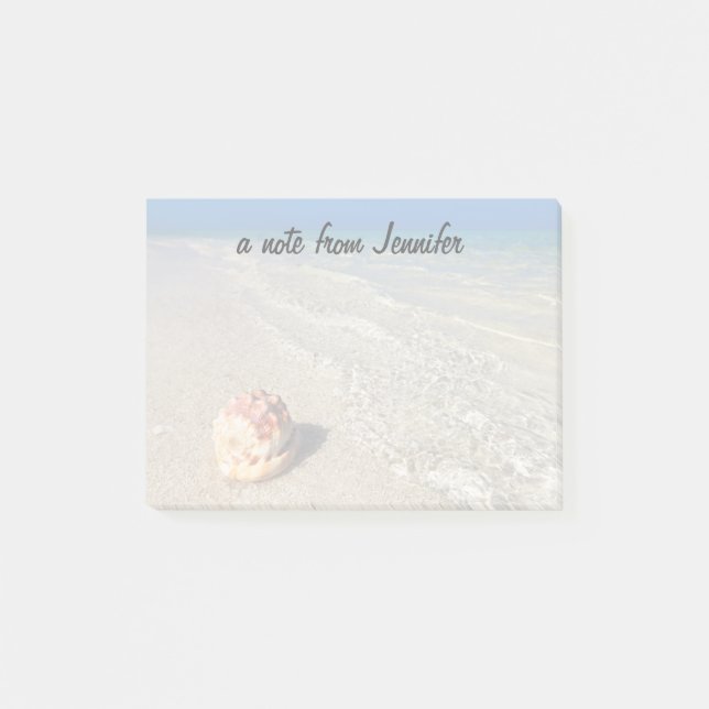 Bloco De Notas Capacete Shell em Lagoon| tropical Cassis Rufa (Frente)