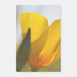 Bloco De Notas Cápsula cheia de luz