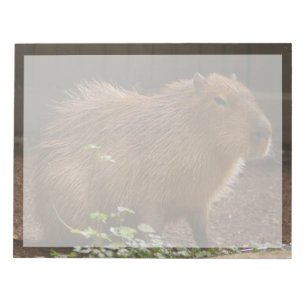 Bloco De Notas Capybara