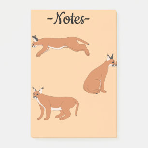 Bloco De Notas Caracais 