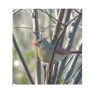 Bloco De Notas Cardinal feminino